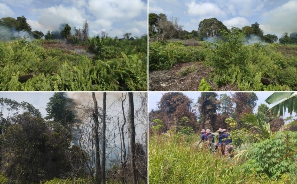 The Tatau Fire and Rescue Station (BBP) team prevented a bush fire from spreading further. — Bernama pic