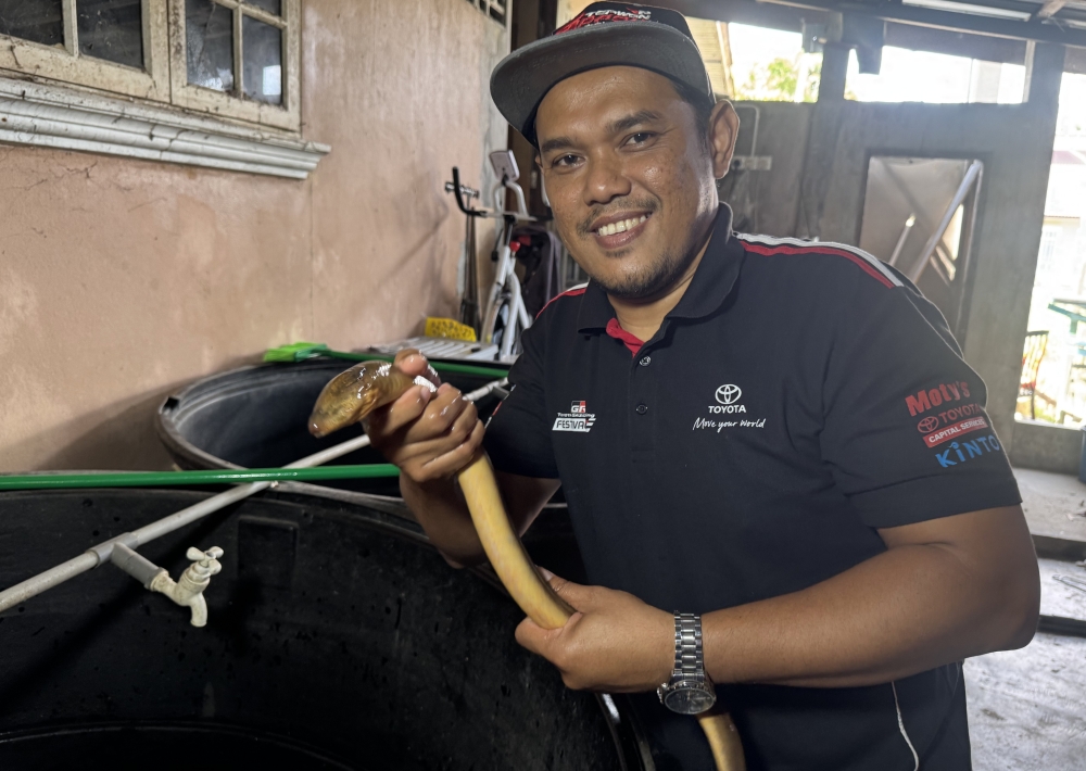 Muhamad Hairi Ishak shows hybrid eels reared at his farm in Kampung Banggol Petani, Tumpat, March 24, 2026. — Bernama pic
