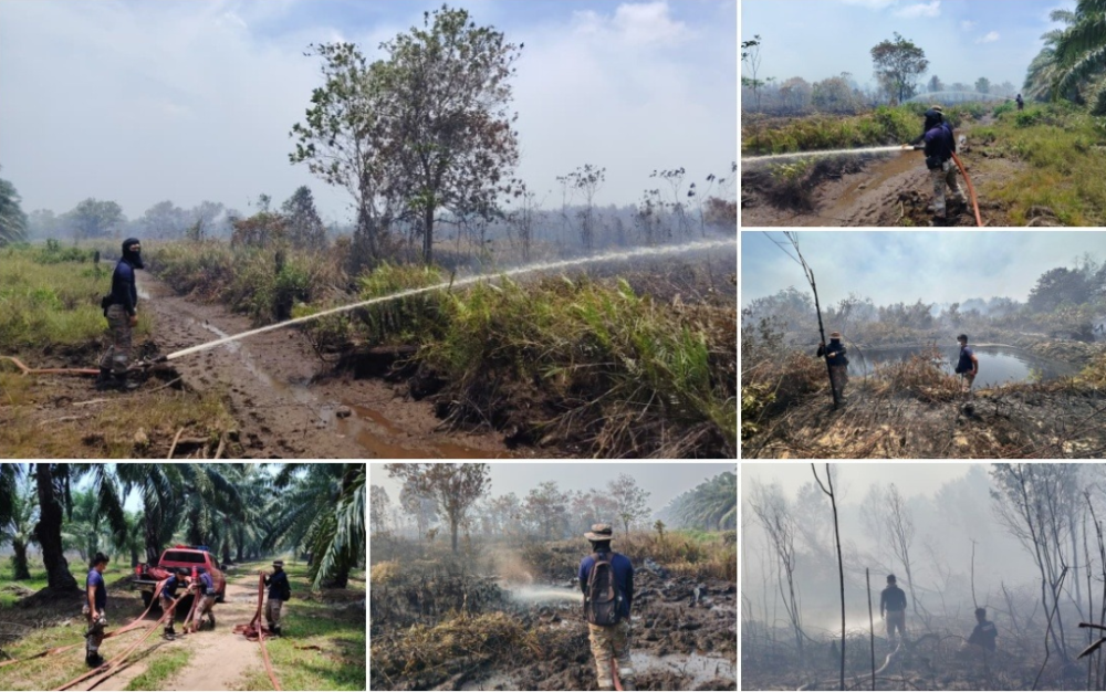 Orange-clad heroes spend Raya fighting bush fire as smoke disrupts celebrations near Desaru. — Bernama pic