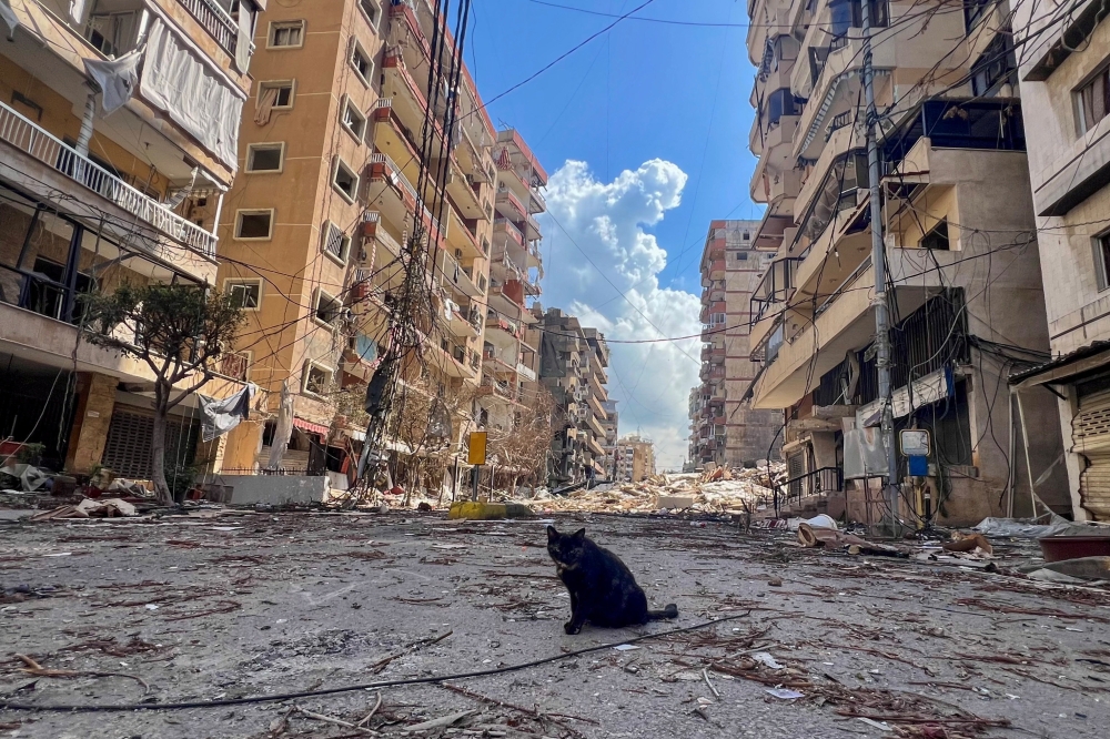 A cat sits on a road among damaged buildings in the aftermath of overnight Israeli strikes, amid an escalation between Hezbollah and Israel, amid the US-Israeli conflict with Iran, in Beirut’s southern suburbs, Lebanon, March 24, 2026. — Reuters pic