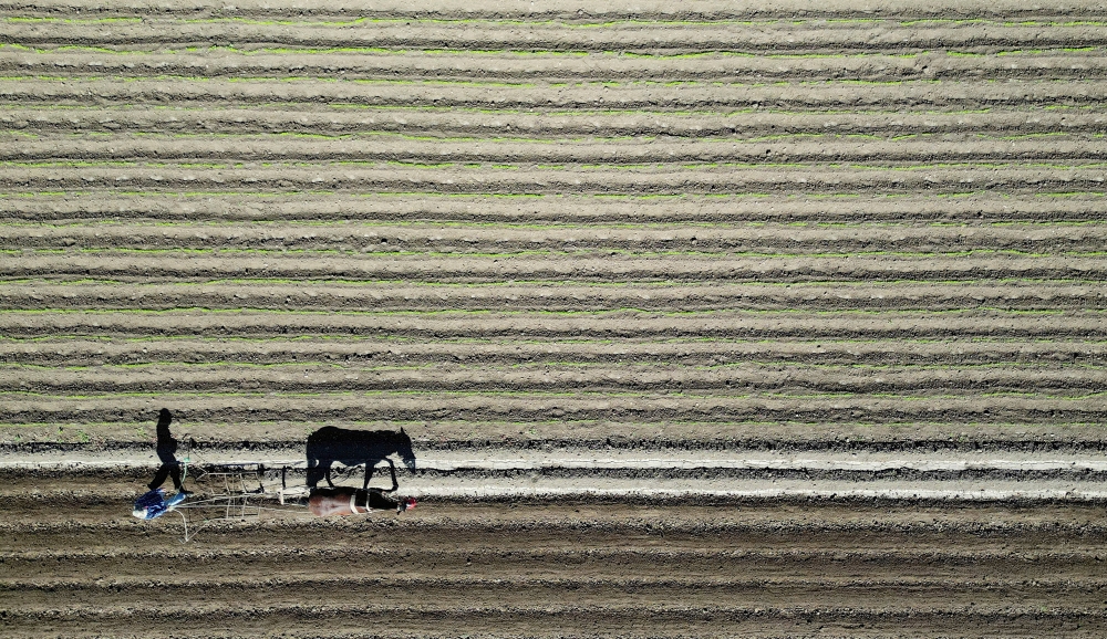 WTO Deputy Director-General Jean-Marie Paugam has warned that fertiliser supply risks could lead to smaller harvests and higher food prices. — Reuters pic