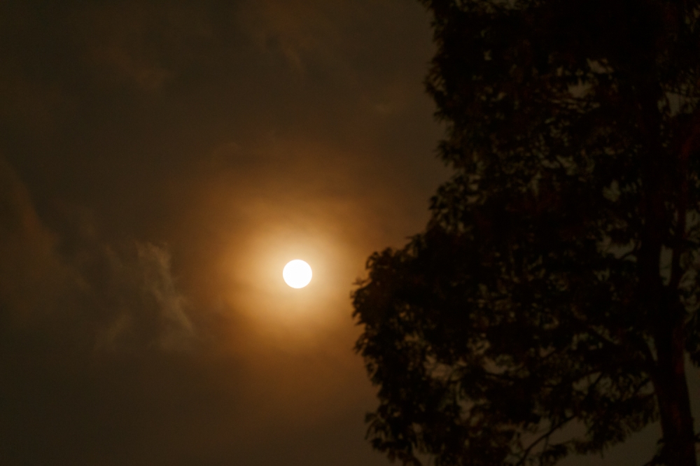 In a statement today, the MOE said key measures include postponing outdoor activities if temperatures exceed 35 degrees Celsius and monitoring activities that may expose students to hot conditions to safeguard their health. — Picture by Raymond Manuel