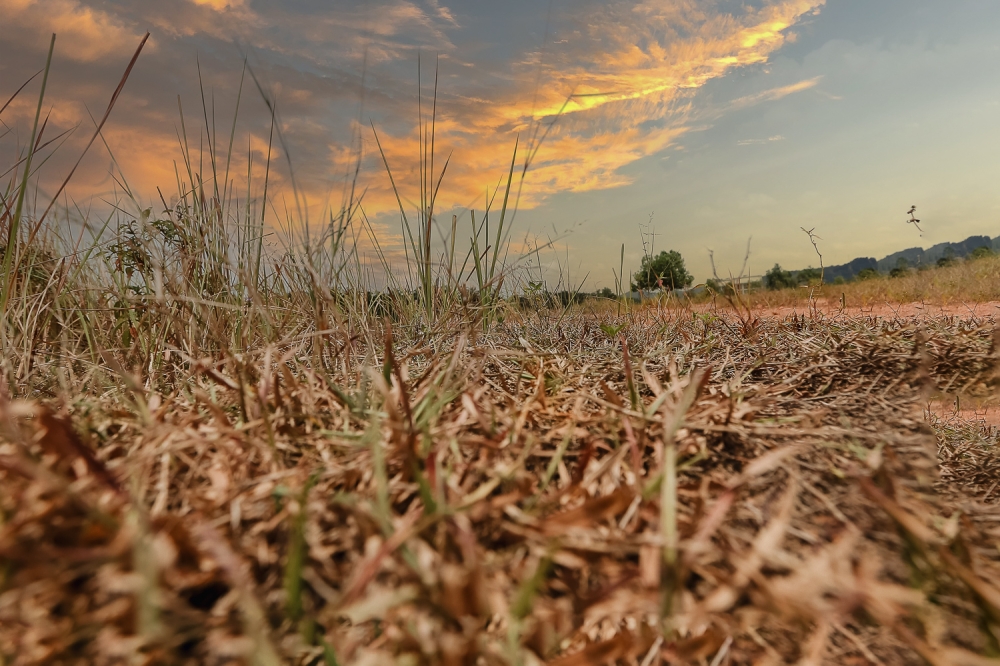 Tawau District Disaster Management Committee (JPBD) chairman Joseph Pang said the decision was made after recent assessments showed the situation no longer meets the criteria for a drought disaster. — Picture by Raymond Manuel
