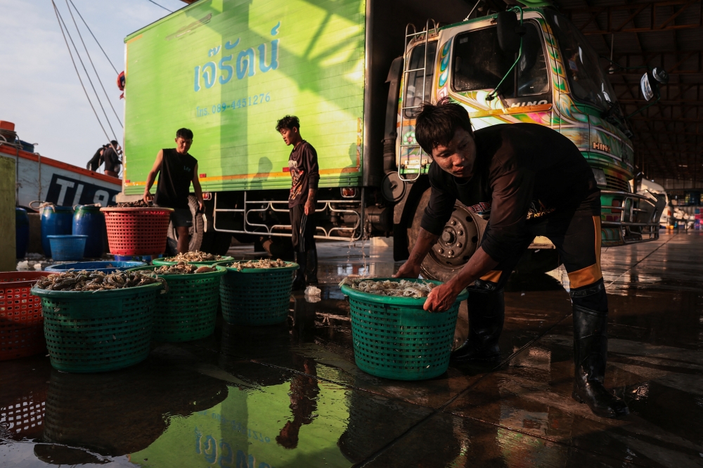 Fishermen unload mantis shrimp from a trawler at a pier, as rising diesel prices have left many trawlers docked due to unprofitable operations, in Samut Sakhon province, Thailand, March 25, 2026. — Reuters pic