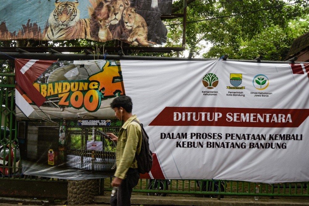 Bandung Zoo in West Java, Indonesia – where two Bengal tiger cubs were born in July 2025 and died in March 2026 of ‘cat plague’ or Feline Panleukopenia virus (FPV) – has been closed for months. — AFP pic