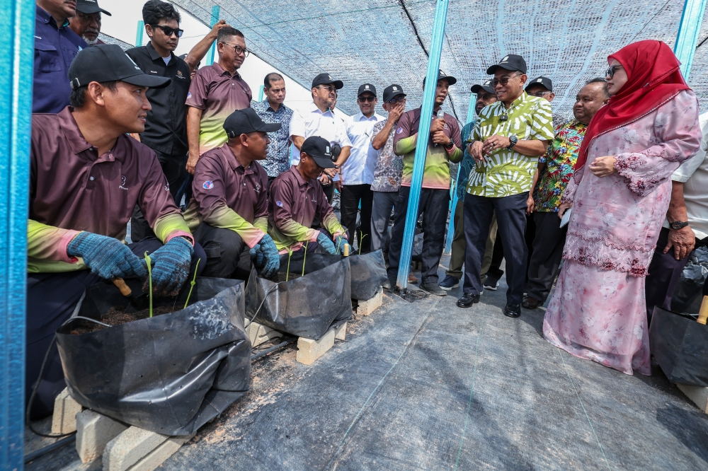 Defence Minister Mohamed Khaled Nordin observes a Halia KayTi planting demonstration by a retired Malaysian Armed Forces member during the JanaVeteran Boustead Plantations project launch at Ladang Telok Sengat, Kota Tinggi on March 28, 2026. — Bernama pic