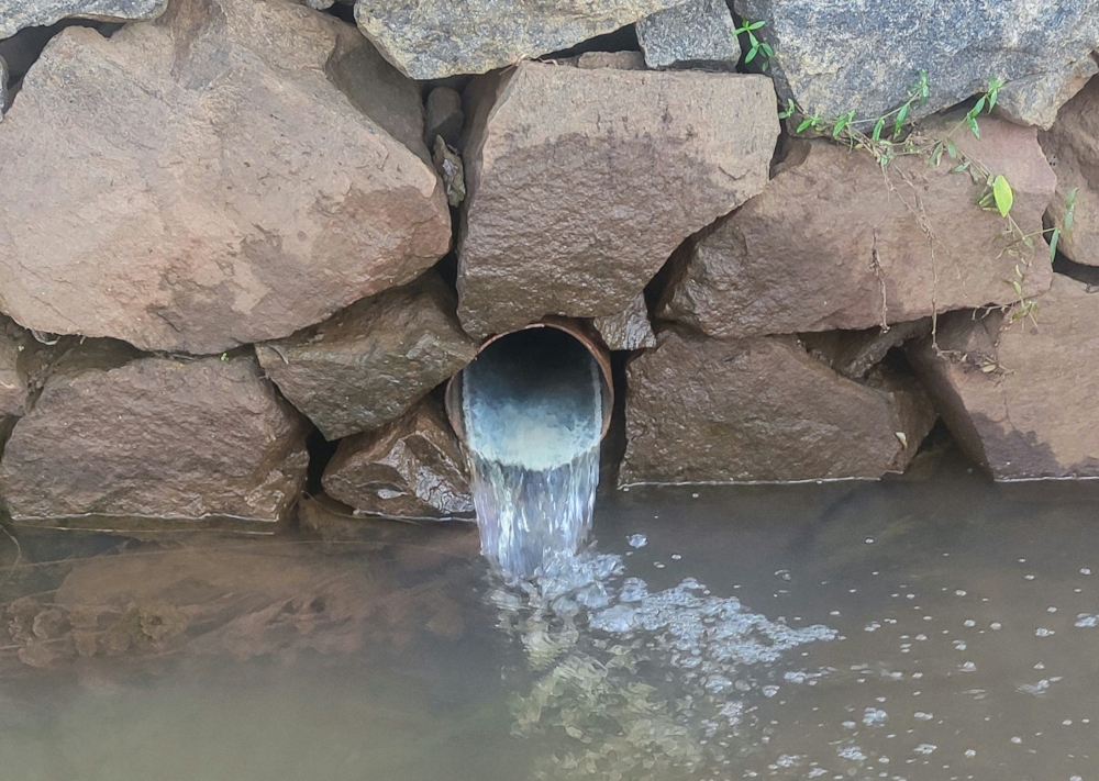 According to the authors, treating polluted water should not create further environmental strain. By using biological systems that are already adapted to harsh conditions, we can move towards treatment methods that are not only effective, but also more sustainable. — Unsplash pic 