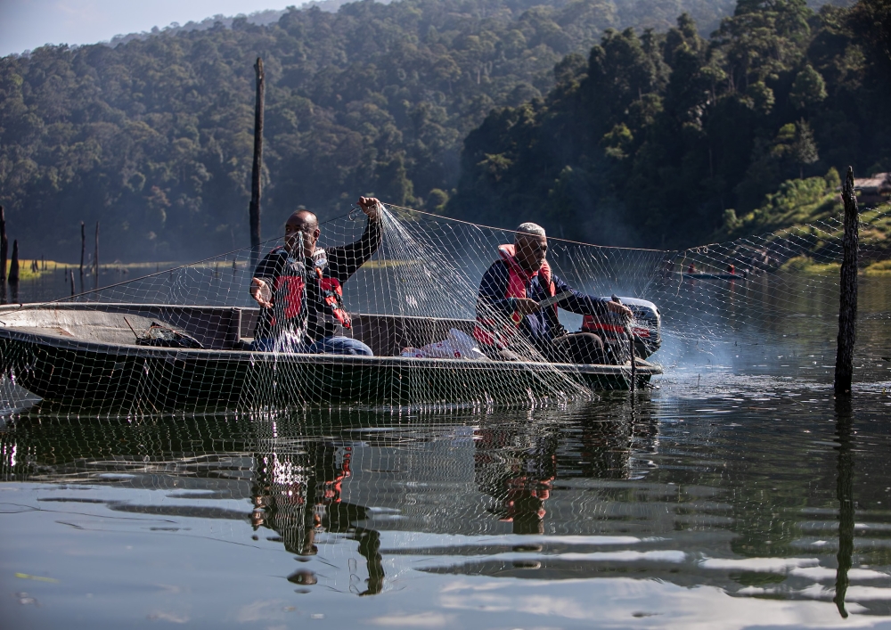 Fisheries Department enforcement officers clear abandoned fishing nets at Tasik Temenggor, Gerik, March 31, 2026.