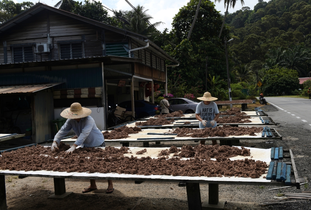 Hot weather speeds up drying, boosts quality for Balik Pulau shrimp paste and salted fish