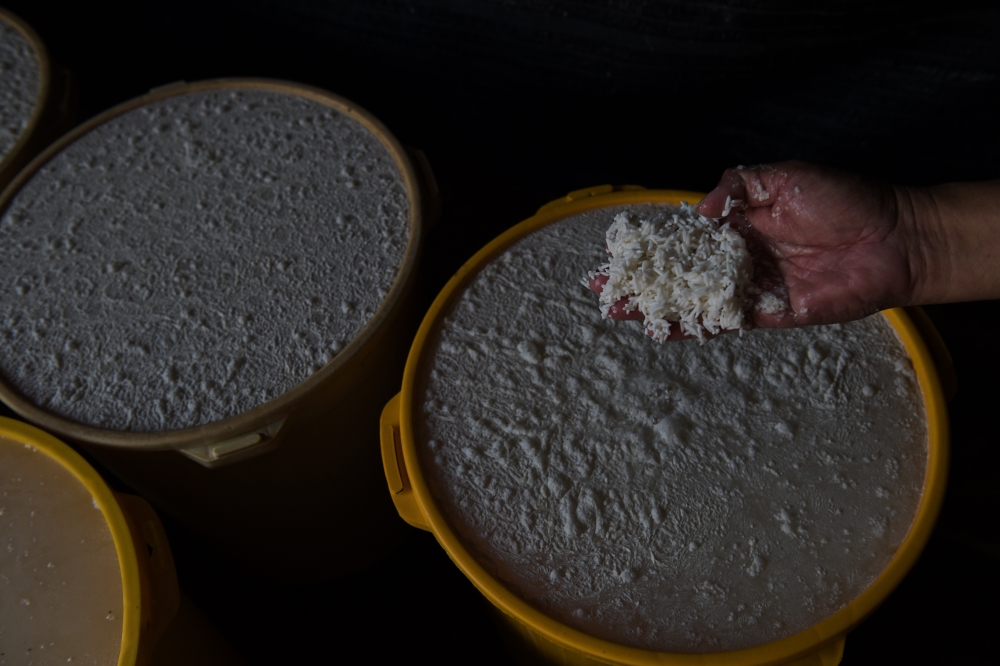 At Perniagaan Bedak Sejuk Lean Seng in Balik Pulau, Penang, the ‘bedak sejuk’ starts with soaking rice for a month. — Bernama pic