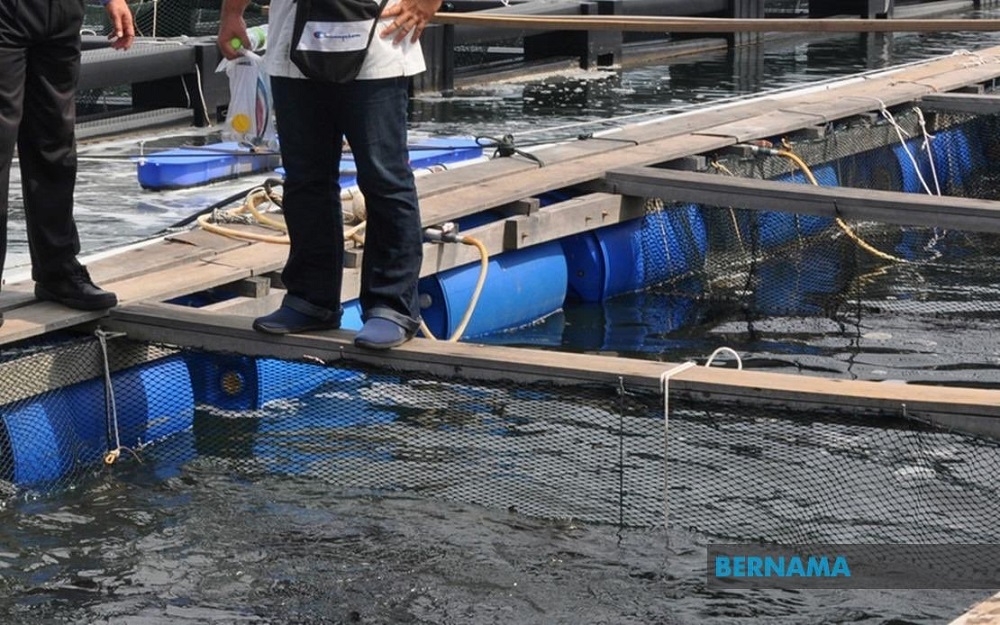 Teraju’s new fund aims to turn Sabah start-ups into scale-up stars