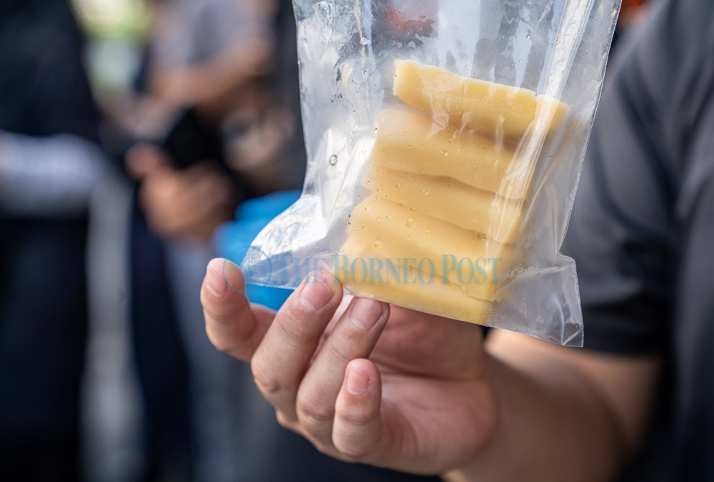 A sample of the oral rabies vaccine (ORV) bait used in Sarawak’s rabies control programme. — Borneo Post pic