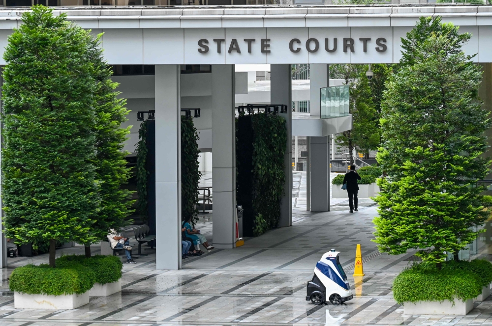 ‘Sadistic’ cat abuser jailed over two years after string of brutal attacks in Singapore