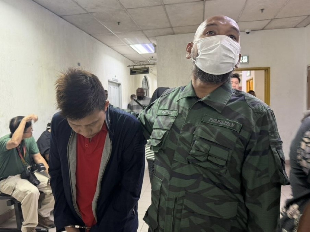 RM36m wildlife bust: Vietnamese man admits to possession of 1,000 python bile, 191 tongues after Johor Jaya raid