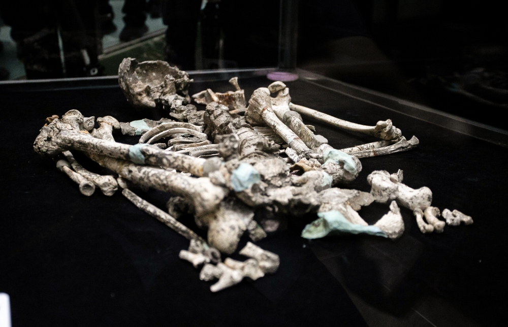 Malaysia’s ancient past in focus as ‘Perak Man’ returns home to Lenggong and ‘Perak Woman’ eyed next