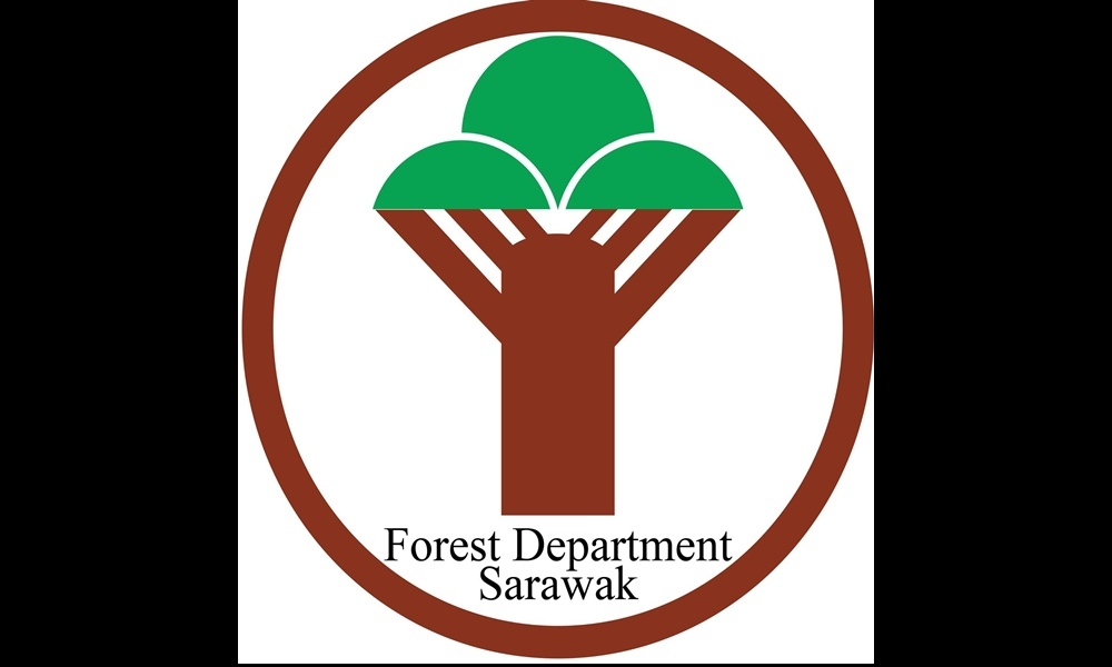 Sarawak cuts timber royalties, statutory charges by 50pc to ease industry pressure
