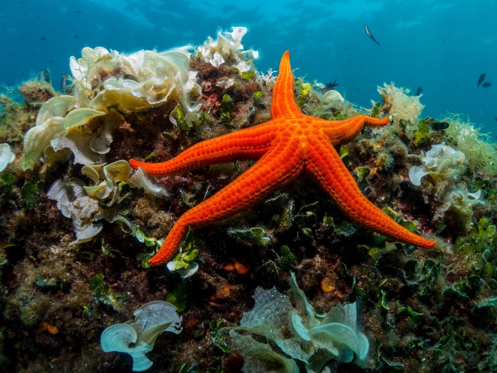 New RM186.4m marine research centre to steer Singapore’s coastal future