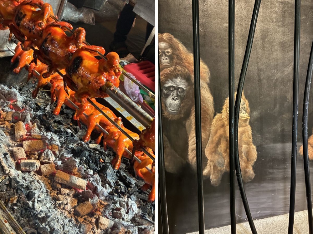 One thing about the iPhone base camera app is that it is nearly impossible to take really bad photos. — Picture by Erna Mahyuni