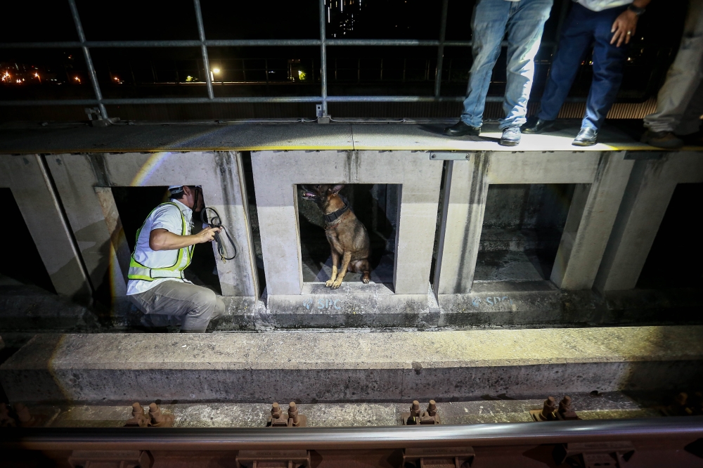 Sniffer dogs are trained to flush out concealed cable-cutting tools and hidden suspects, including those sheltering in concrete ducts that house cables. — Picture by Sayuti Zainudin