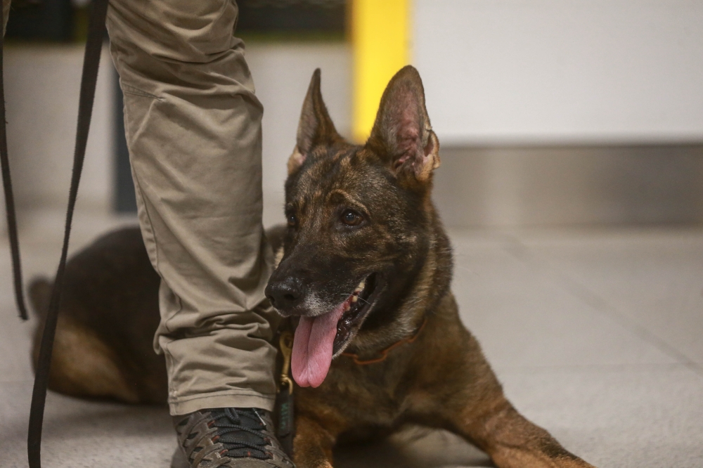 Tessy taking a break after performing a routine off-hours track inspection. — Picture by Sayuti Zainudin