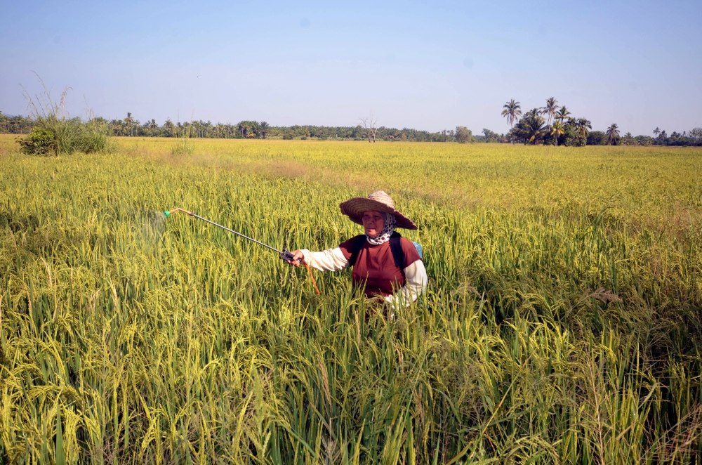 Jawiah Abd Rahman said she does not practise any tips or secrets to maintain her health. — Bernama pic