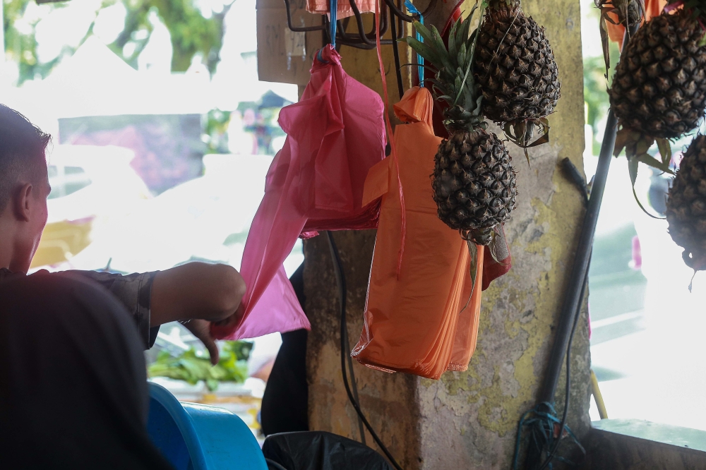 Penang’s single-use plastic ban on track for Sept 1, shift to biodegradable alternatives