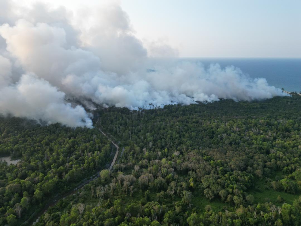DOE warns of jail, million‑ringgit fines as probe launched into Terengganu peatland fire