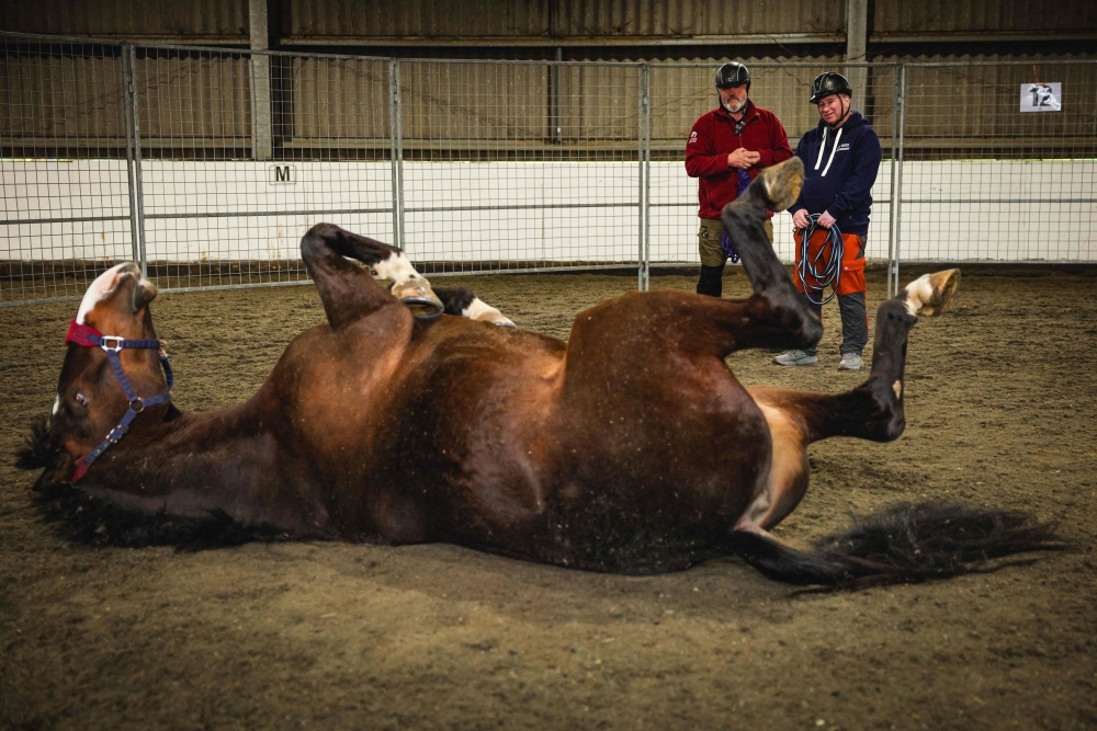 Warrior Equine Chief Instructor Jim Goddard (centre) mentors RAF veteran John Lewis (R), who suffered several broken bones in an accident which brought his RAF career to an end, as they watch a horse roll around in the dirt in an exercise to gain the animal's trust at The Light Cavalry Honorable Artillery Company stables near Windsor on April 13, 2026. — AFP pic