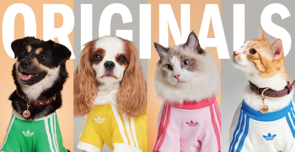 Adidas Originals just entered the pet chat — and Malaysia’s fur kids are getting the full streetwear treatment