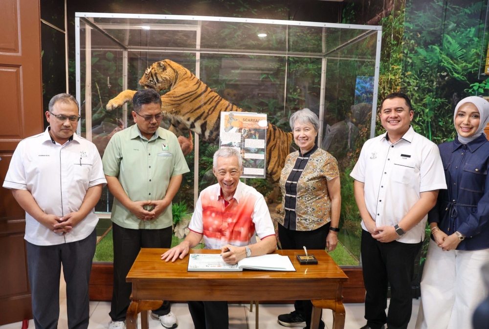 Tiger stop diplomacy: Singapore senior minister Lee Hsien Loong kicks off Pahang visit at conservation centre