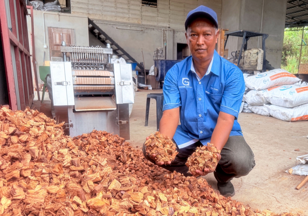 From waste to income: Kelantan retiree turns discarded coconut husks into high‑demand planting products