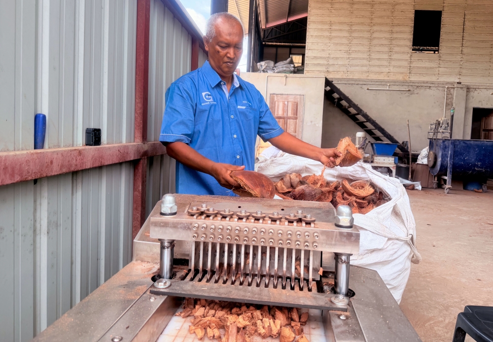 Wan Zamri Wan Ya carries out the process of chopping coconut coir to obtain smaller pieces of coir using a special machine when met by Bernama at his factory in Kampung Batu Hitam May 9, 2026. — Bernama pic