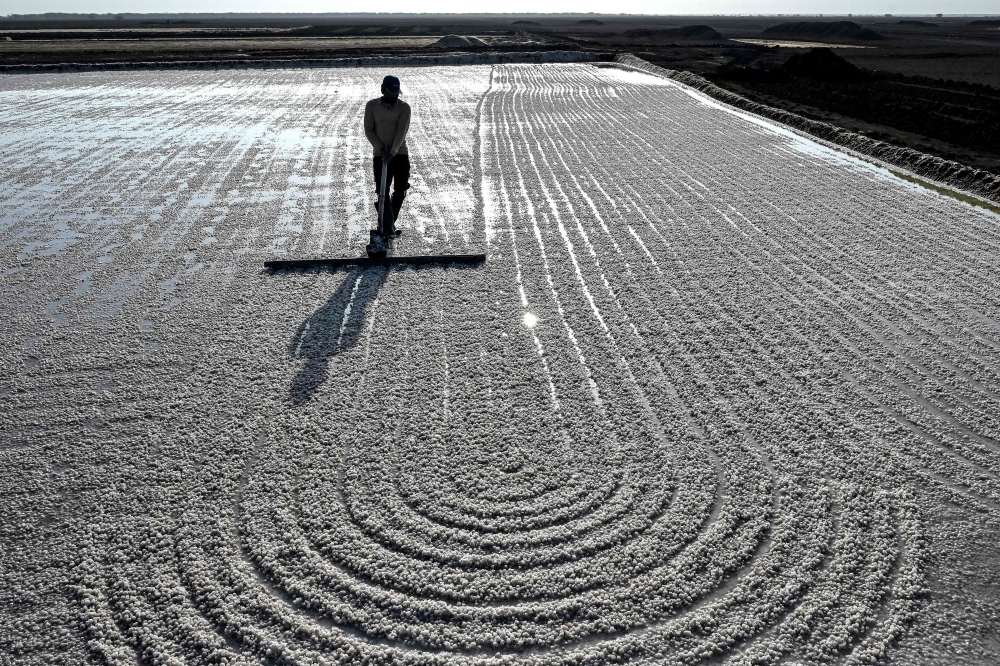 No trees, no fans: surviving extreme heat in India's salt pans