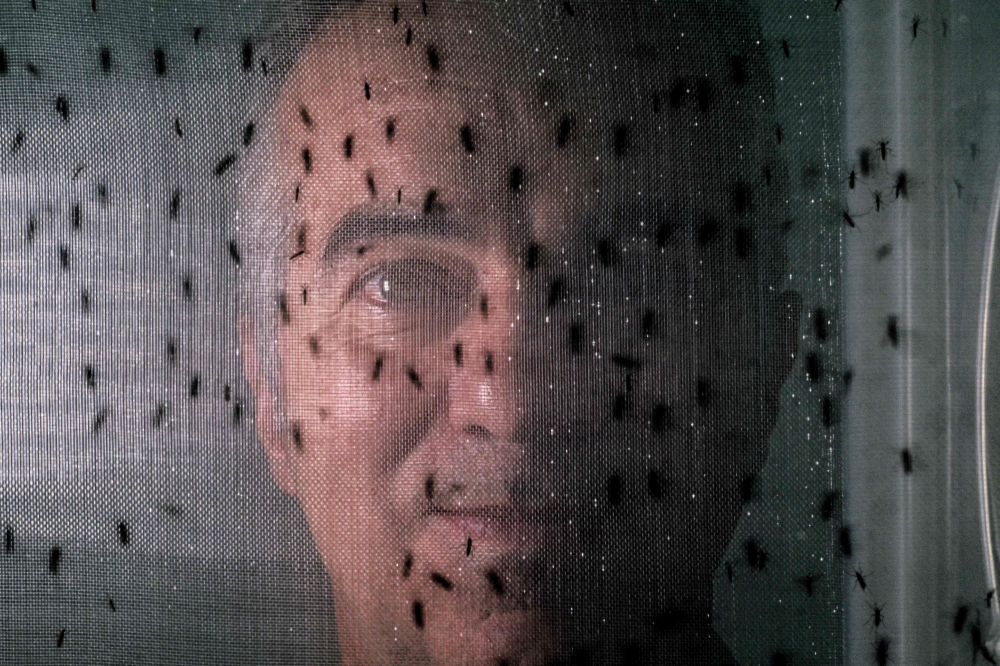 Brazilian researcher Luciano Moreira from the World Mosquito Program Brazil poses after an interview with AFP in Curitiba, Parana state, Brazil on March 19, 2026. — AFP pic