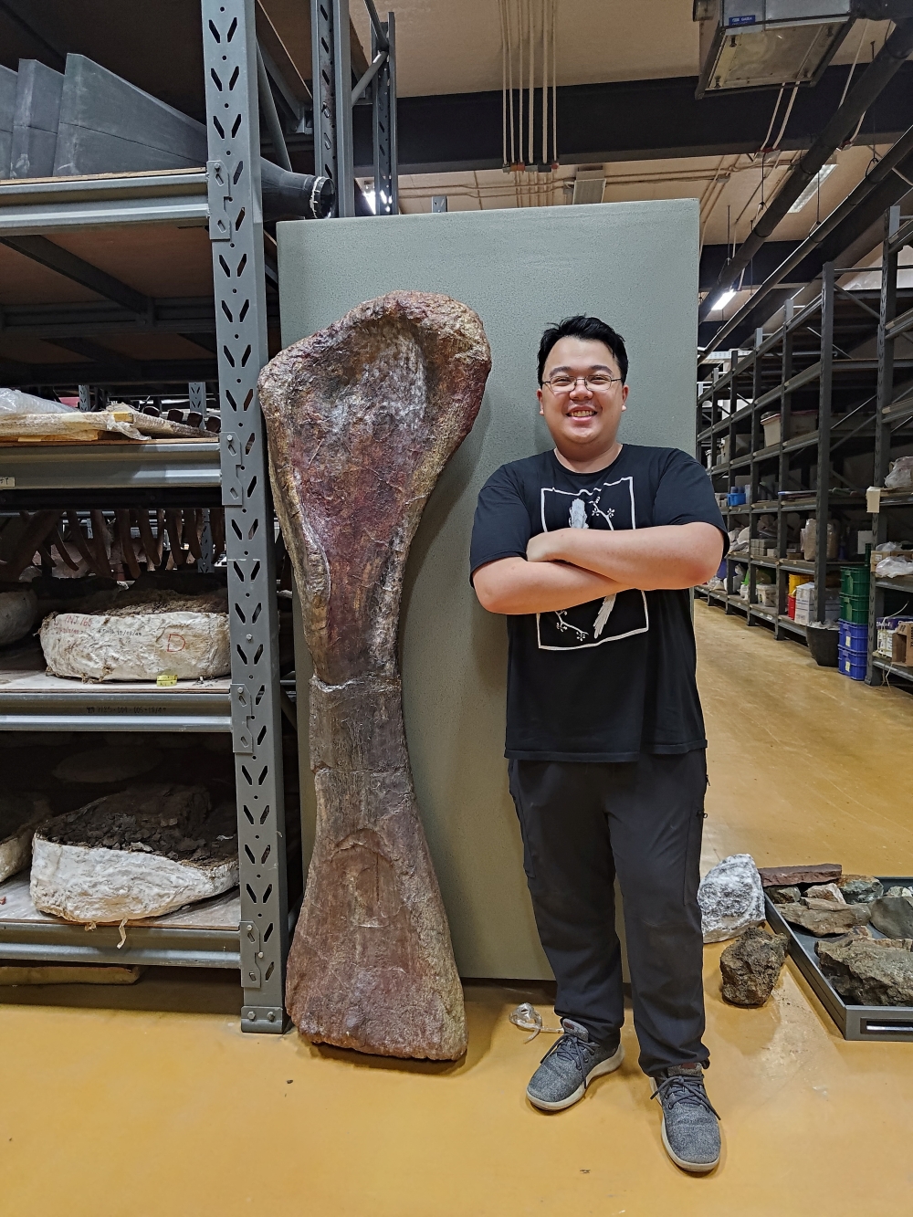 Researcher Thitiwoot Sethapanichsakul poses with a humerus of the Cretaceous sauropod Nagatitan chaiyaphumensis at the Sirindhorn Museum in Kalasin Province, Thailand, in 2024, in a photo released May 14, 2026. — Reuters pic/Thitiwoot Sethapanichsakul/Handout