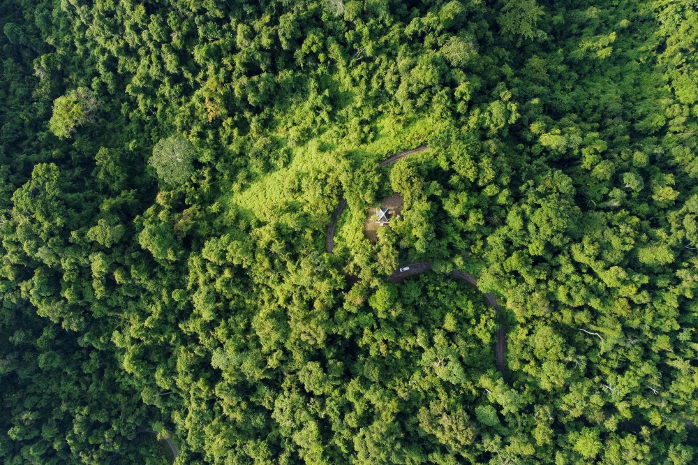 This aerial photograph taken on March 28, 2026 shows a watchtower surrounded by a dense tree cover at the Campbell Bay National Park in Great Nicobar Island. On a remote island in the Andaman Sea, bulldozers are tearing into pristine forests home to one of Earth’s most isolated people — part of India’s ambition for a US$9 billion megaport, airport and city. — AFP pic 