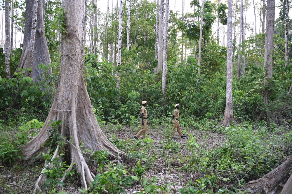 This photograph taken on March 22, 2026 shows members of the Onge tribal community who joined as police homeguards, patrolling in a forested area near the Hut Bay police station on Little Andaman island in India’s Andaman and Nicobar Islands. Outsiders call the Indian Ocean island Little Andaman and its long-isolated guardians the Onge, but those preserving an age-old way of life now under threat have their own names. — AFP pic 