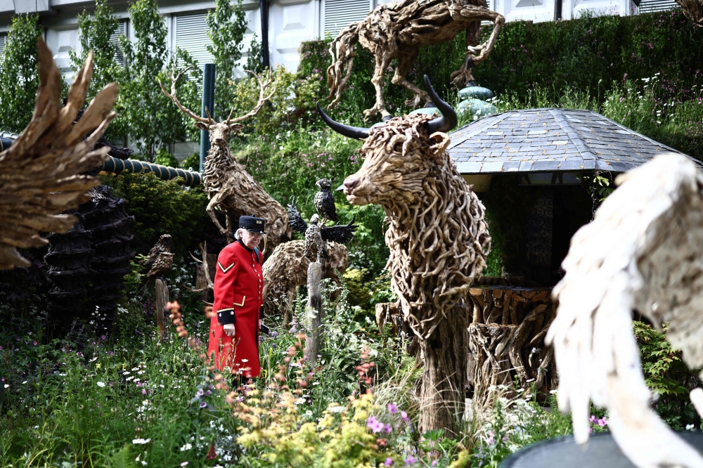 A Chelsea Pensioner wanders through the Alitex garden on the press day ahead of the 2026 RHS Chelsea Flower Show in London on May 18, 2026. — AFP pic