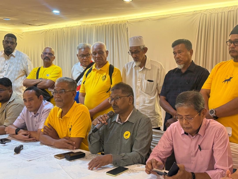Rafizi-linked Bersama forms Johor pro-tem committee, eyes all 56 seats in state polls
