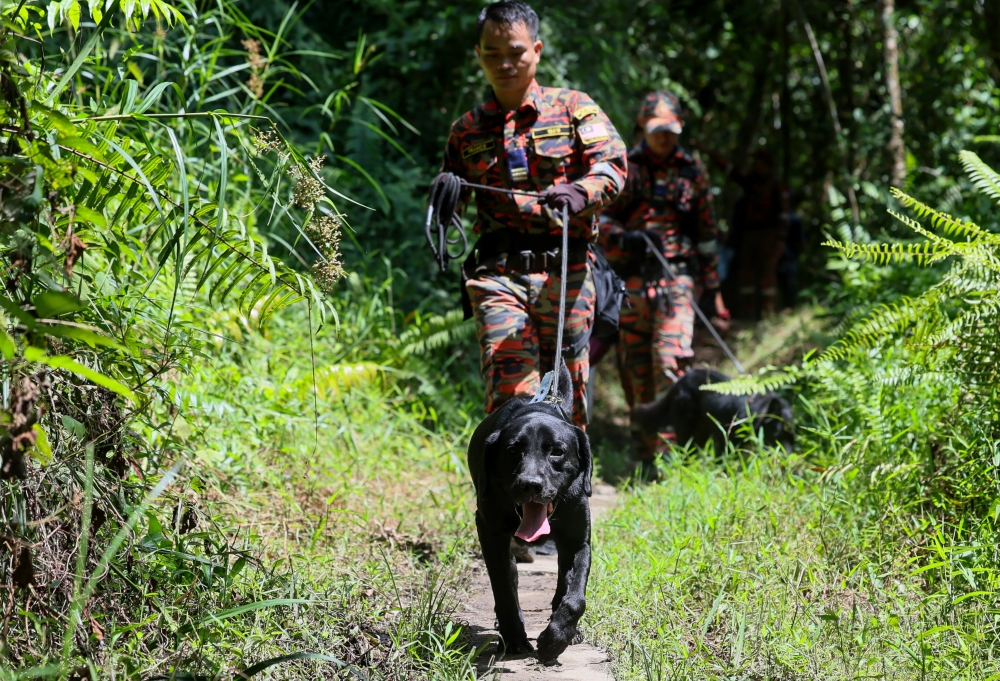 Father hopes for breakthrough as hunt continues for missing teen at Bukit Changkat Asa