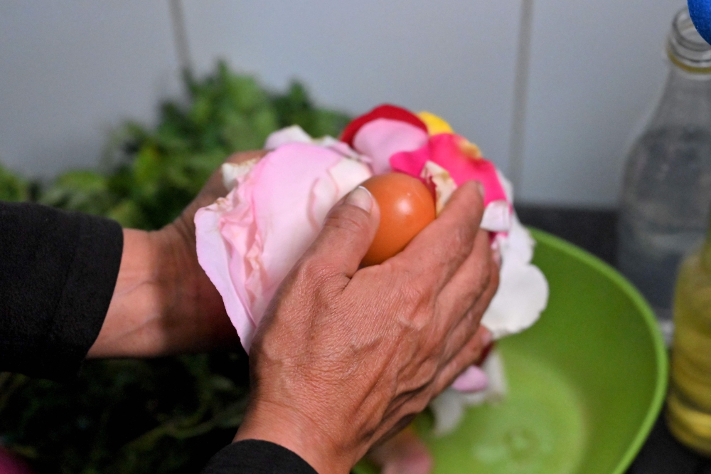 Ecuadorean curandera Amparo Lugmana prepares an egg and roses for an energy cleansing on a dog at the San Francisco market in Quito on May 17, 2026. — AFP pic