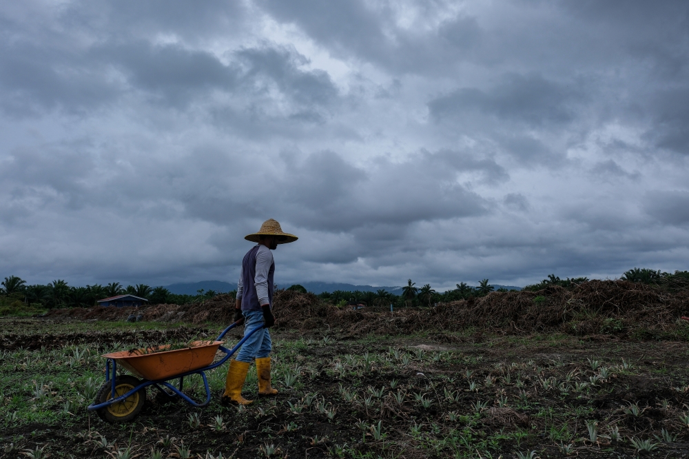 Heavy rain and strong winds alert: Sabah, Sarawak brace for severe thunderstorms