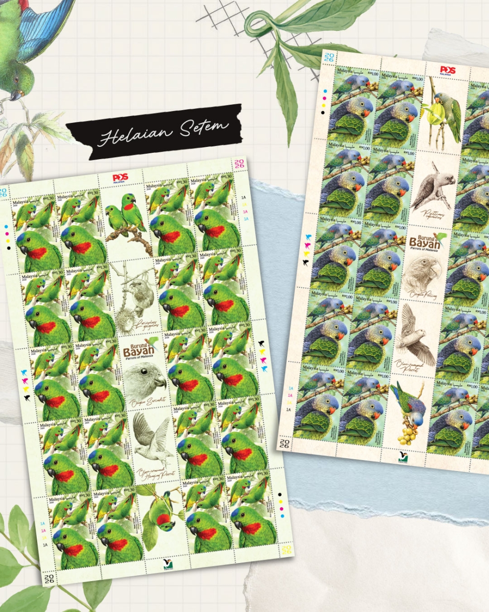 The RM1.00 Blue‑rumped Parrot stamp and the RM1.30 Blue‑crowned Hanging Parrot stamp. — Picture courtesy of Pos Malaysia