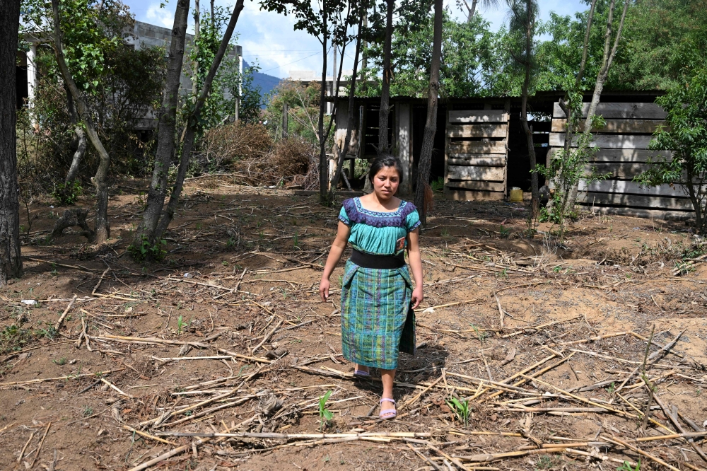 Indigenous leader Elvira Pasa, 27, walks across drought-affected land outside her house in the Xetzac community of Cunen, Quiche department, Guatemala, on May 27, 2026. — AFP pic