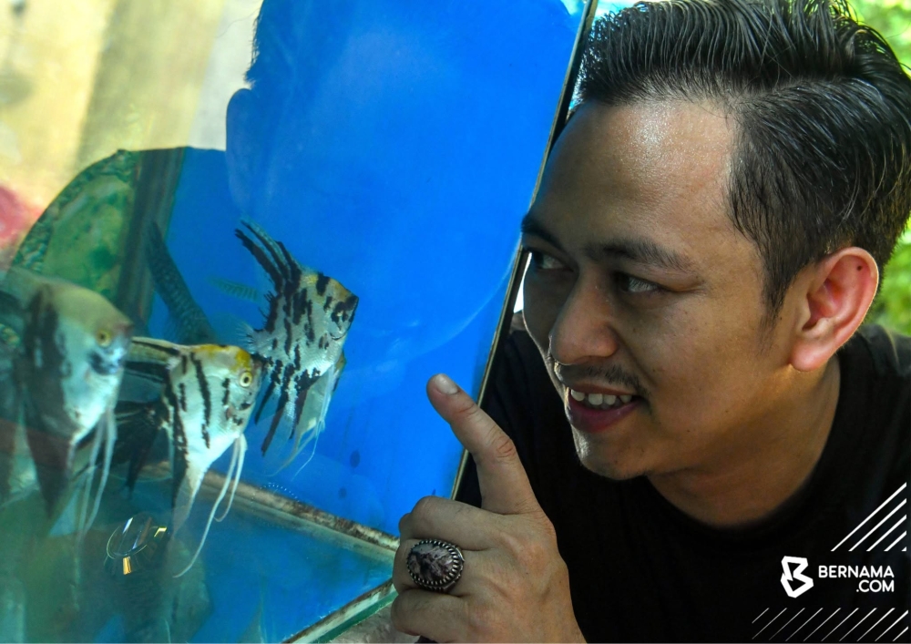 No courses, just clicks: Kelantan man breeds success with ornamental fish business