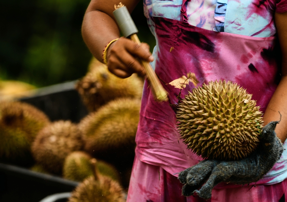 Malay Mail