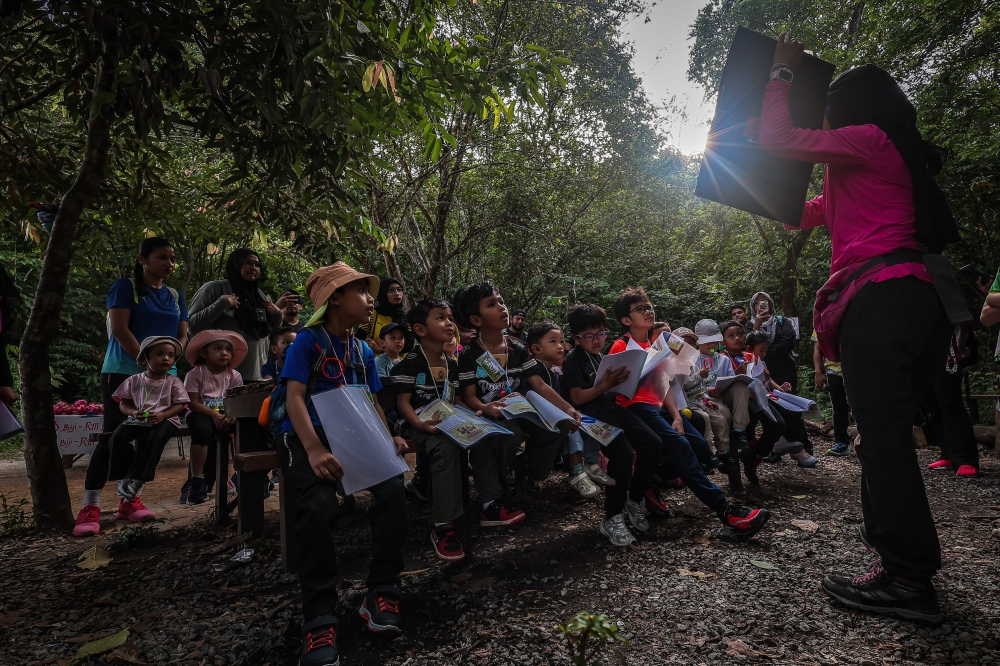 Mud, insects and hiking trails: One teacher’s mission to reconnect children with nature
