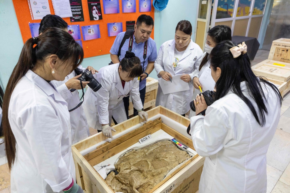 A prehistoric homecoming: Mongolia reclaims rare dinosaur skeleton smuggled abroad two decades ago
