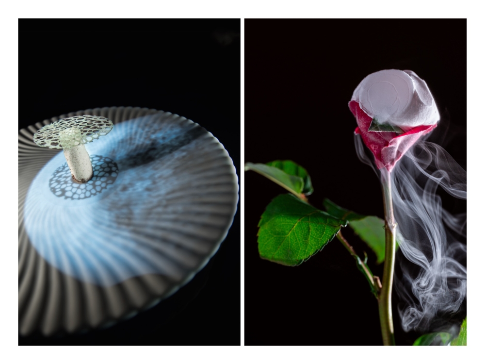 Lunar Mushroom (left) is a dessert of freeze dried bamboo fungus filled with Yakult, nutmeg and hazelnut. Sand Rose—Ispahan (right) is a hand-crafted raspberry sand crystal rose with real petals and a nitro lychee foam.— Pictures courtesy of Ultraviolet