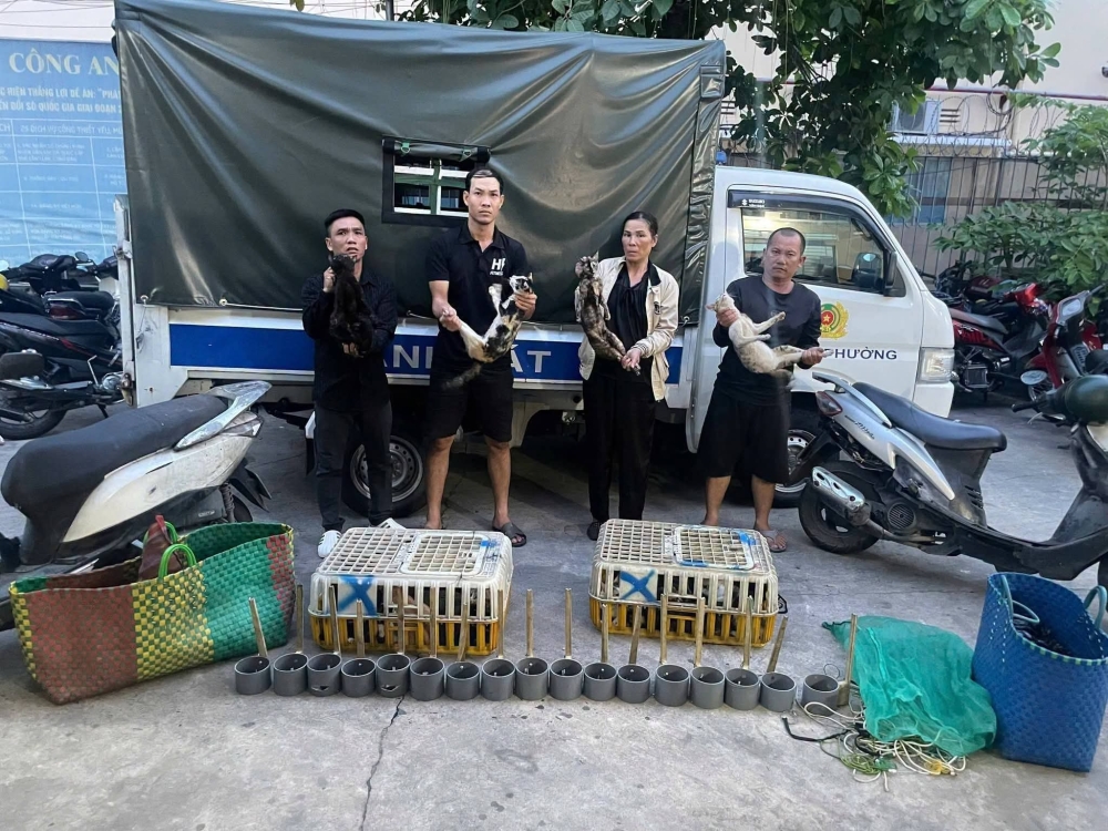 Vietnam police rescue 400 cats from cat-meat theft ring as dozens reunited with owners